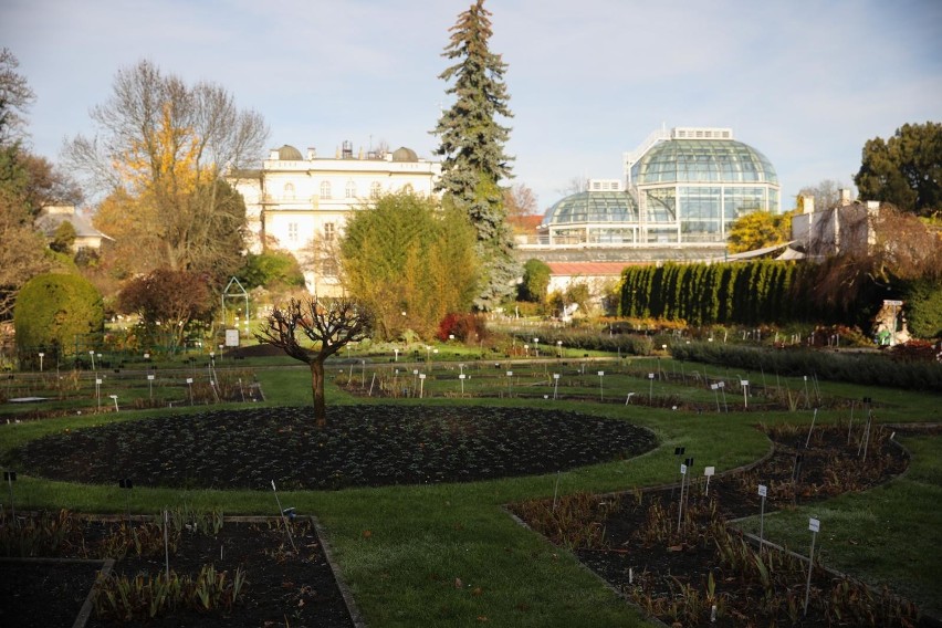 OGRÓD BOTANICZNY