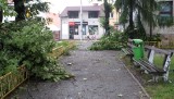 Straszna burza szalała w Myszkowie. Połamane gałęzie drzew w mieście i na Dotyku Jury