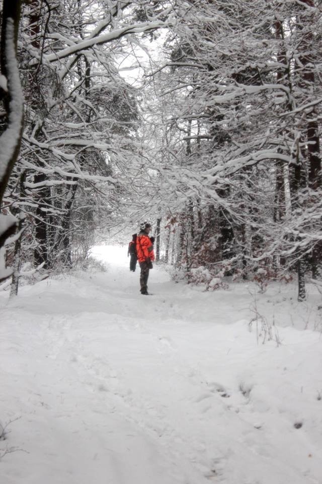 Aktywiści zablokowali polowanie na granicy Bytomia i...