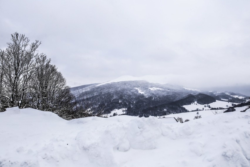 Bieszczady zimą są wyjątkowo piękne. Nie dziwi więc, że tak...