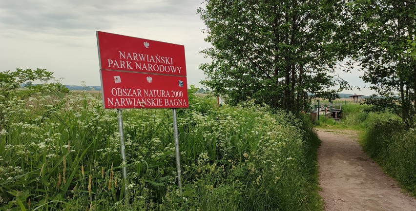  Narwiański Park Narodowy. Ćwiczenia białostockich i wysokomazowieckich strażaków