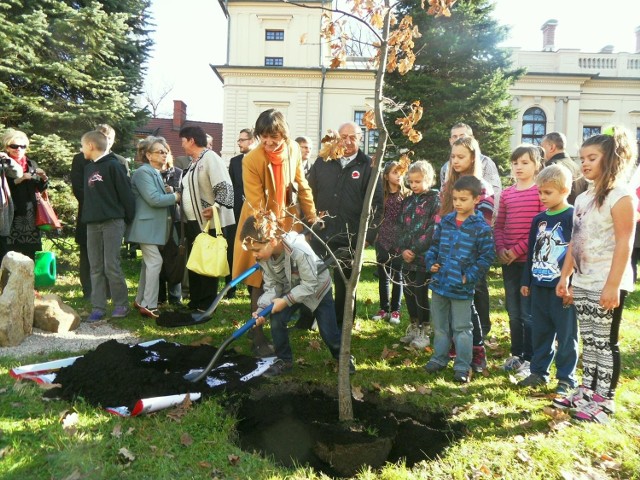 Święto Niepodległości 2014 w Żywcu