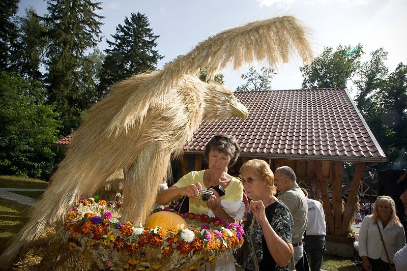 Powiatowe dożynki w Dębnicy Kaszubskiej