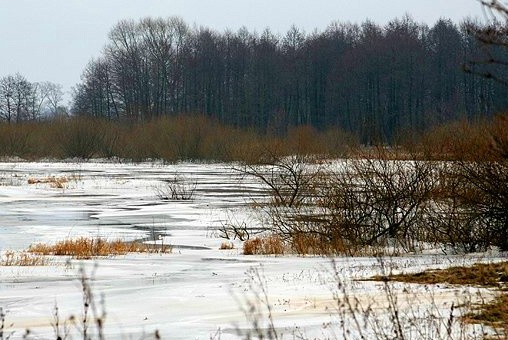 Dolina Narwi w obiektywie Bartosza J. Klepackiego