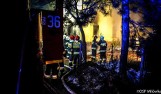 Groźny pożar w Milówce. Dom spłonął. Mężczyzna w szpitalu ZDJĘCIA + WIDEO