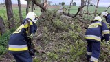 Podlaskie. Wiele gospodarstw bez prądu. Połamane drzewa, zerwane dachy