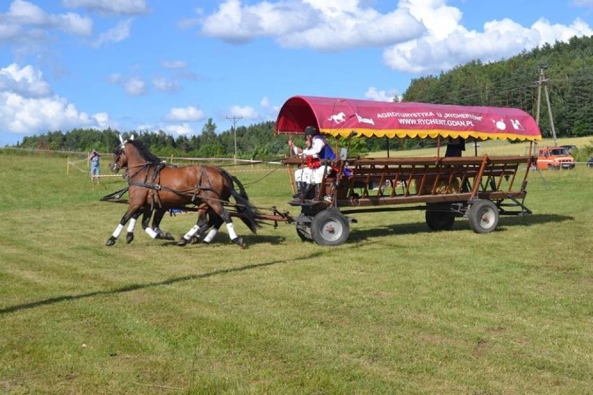 Wielkia Parada Bryczek i Wozów Drabiniastych w Szymbarku...