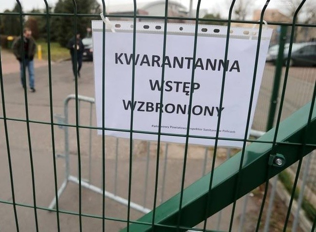 Koronawirus - kwarantanna u rolnika. "Kto wydoi moje krowy?", pytają hodowcy