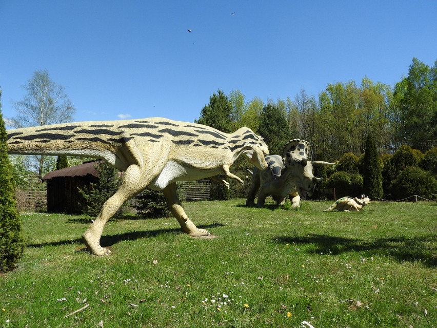 Jurajski Park Dinozaurów (Muzeum Dziejów Ziemi) w Jurowcach...