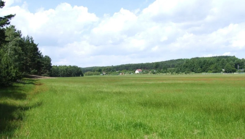 Więcej szczegółów ogłoszeń z portalu OtoDom.pl na kolejnych...