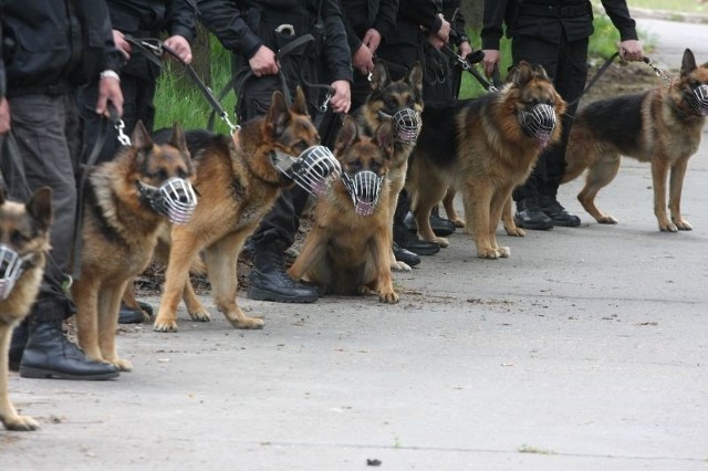 Do kradzieży doszło 16 sierpnia przy ulicy Ordonówny.