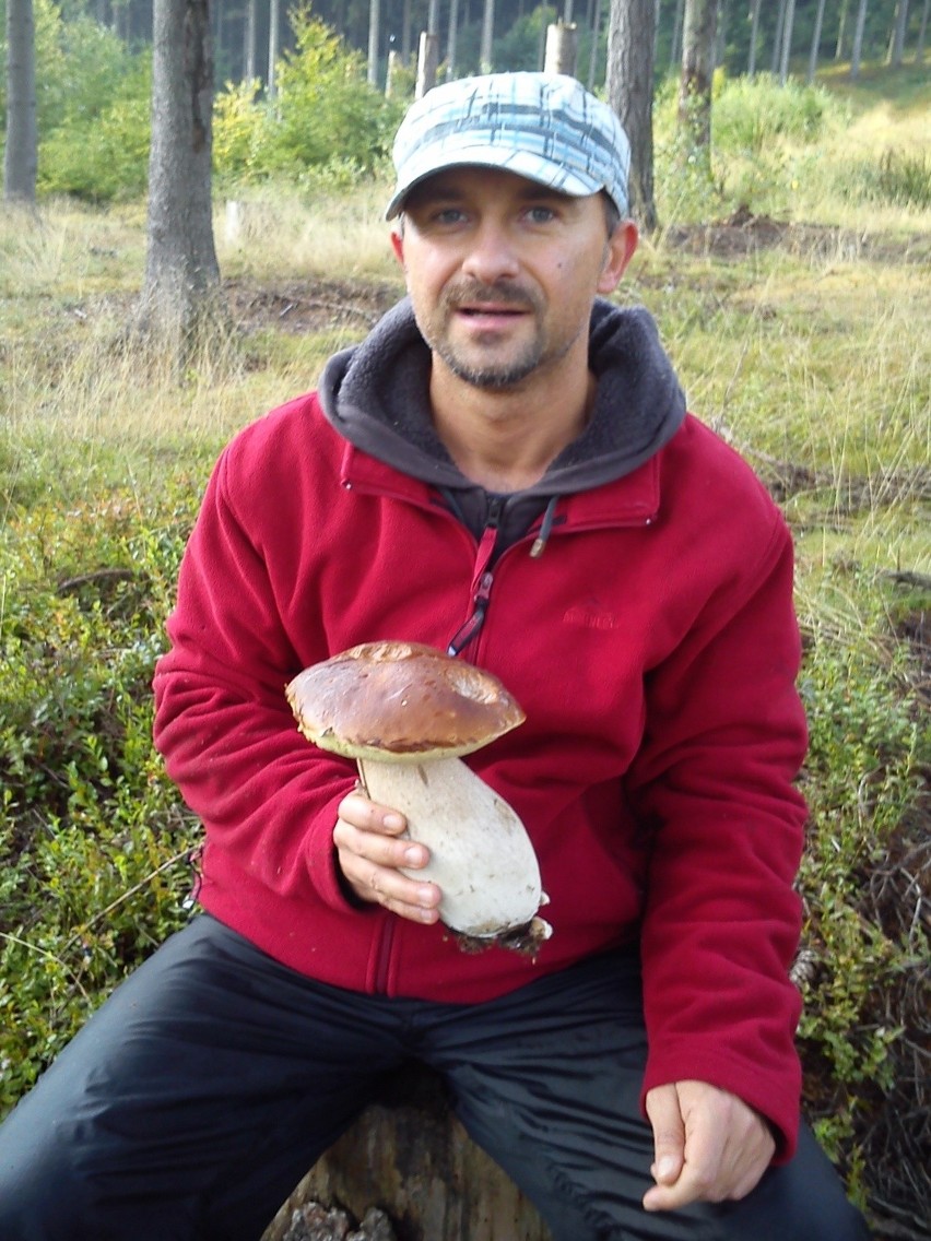 Grzybobranie 2013 - gdzie szukać grzybów?
