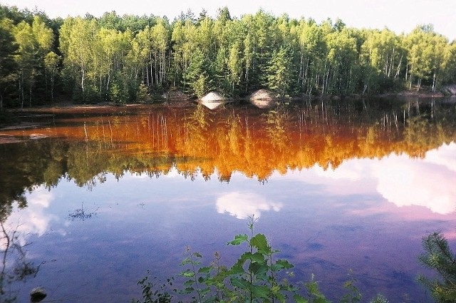 Jak twierdzą fachowcy ten tytuł dla lubuskiego geoparku jest porównywalny z wpisaniem na listę światowego dziedzictwa UNESCO.