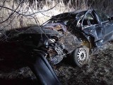 Wypadek w okolicach Połupina. Samochód zderzył się z drzewem. Dwuletnie dziecko ze złamaniem trafiło do szpitala