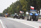 Protest rolników na drodze krajowej nr 11. Zablokowany odcinek Środa - Jarocin