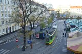 Poznań będzie bardziej zielony? Nowe drzewa pojawią się w pasach drogowych. Sprawdź, gdzie!