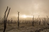 Koronawirus a zmiany klimatu. Czy zmiany klimatyczne mogą wpływać na pojawianie się chorób zakaźnych a łagodne zimy na obniżanie odporności?