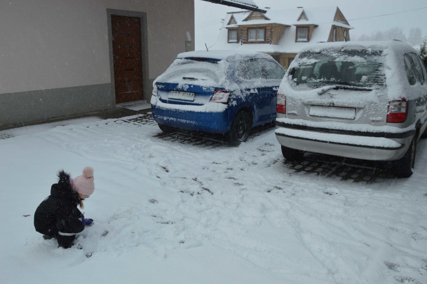 Atak zimy na Podhalu, spadło kilka centymetrów śniegu [ZDJĘCIA]