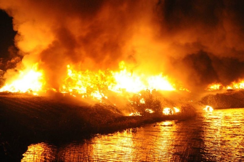 Pożar w Pyszącej wybuchł we wtorek, 24 kwietnia wieczorem.