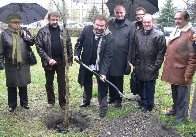 Tak Krzysztof Krawczyk zasadził w Busku pierwsze w swoim życiu... drzewo.