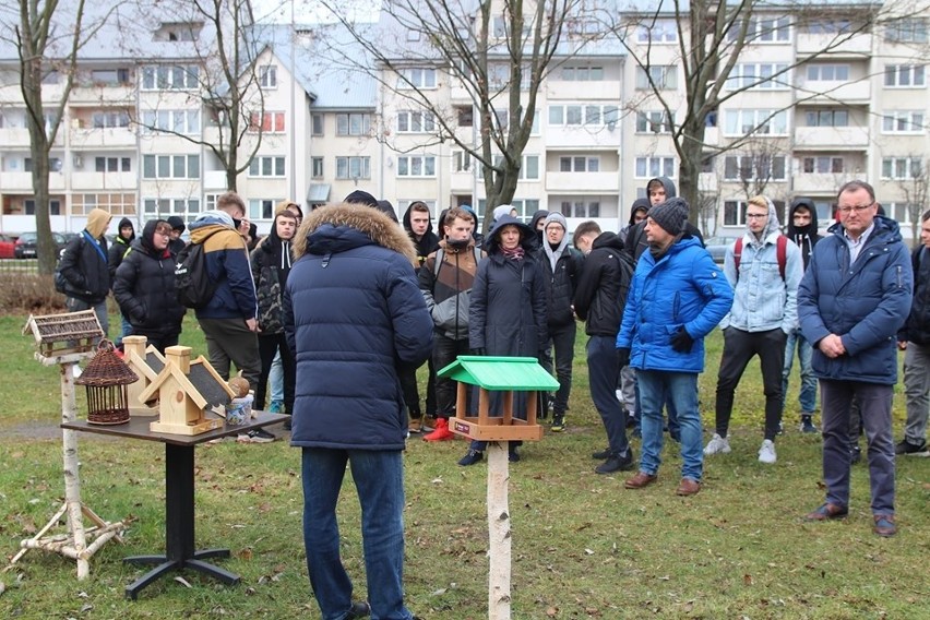 Ostrołęka. Co zrobić, by przyciągnąć do miasta ptaki? Może wystarczy... powiesić karmniki