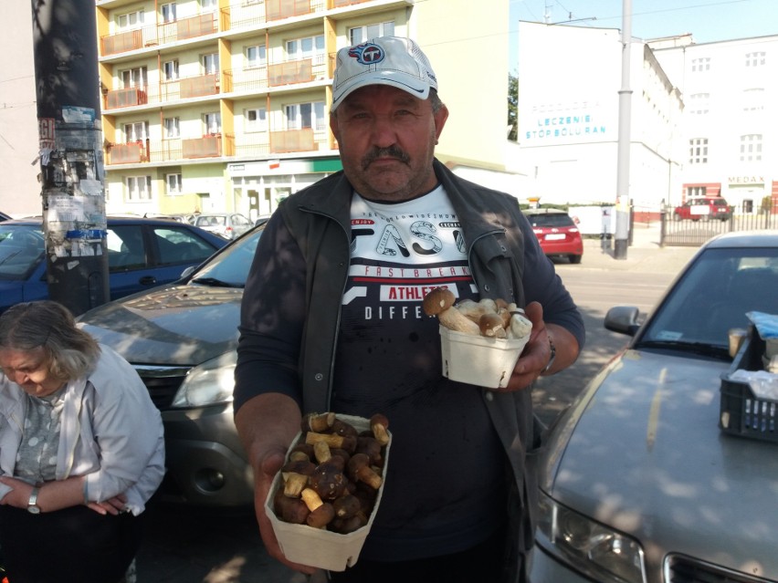 Gdzie są grzyby? Grzybiarze zacierają ręce... W lasach jest mnóstwo okazów, niestety większość robaczywa ZDJĘCIA 