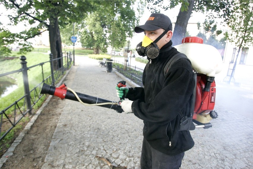 W Libiążu walczą z plagą komarów. Opryski wykonane zostaną także w Chrzanowie i Trzebini?
