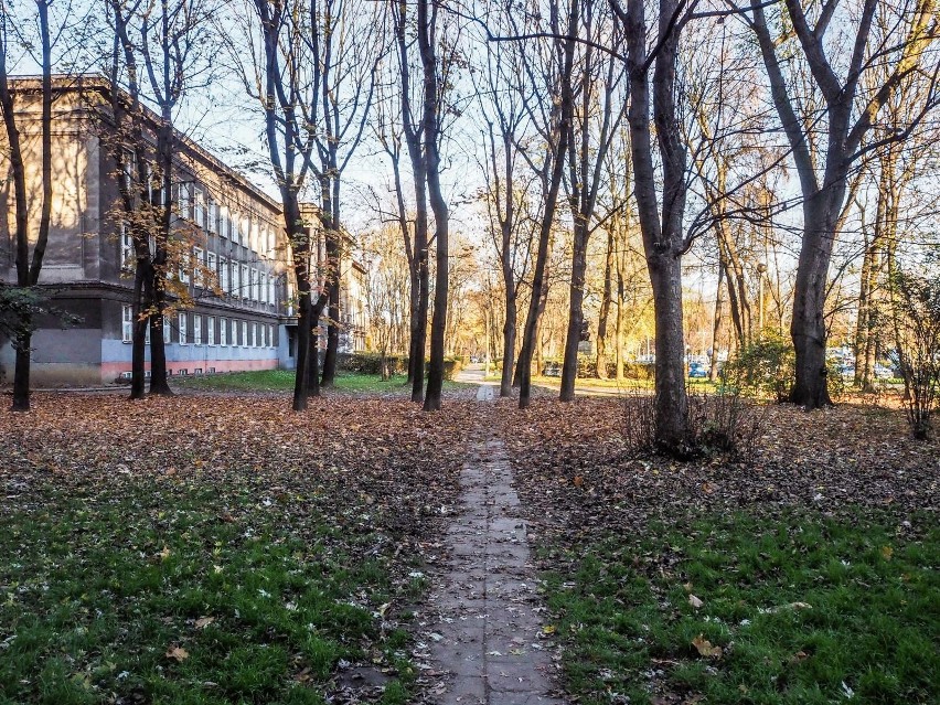 Na osiedlu szkolnym w Krakowie brakuje ławek. Problem...