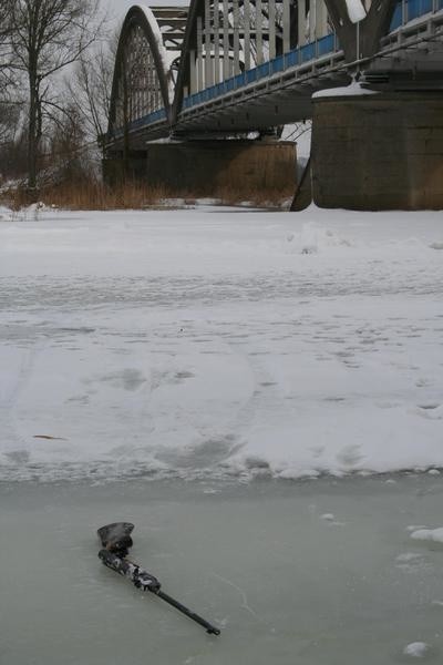 Wiatrówka leżała na zamarnietej Pilicy w pobliżu starego mostu w Białobrzegach.