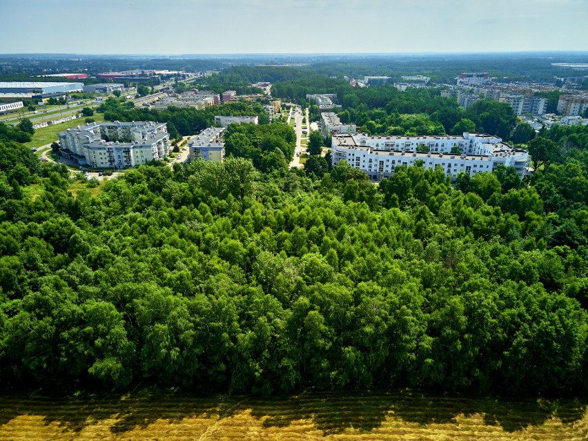 W Łodzi jest 17 parków leśnych, jeden znajduje się na...