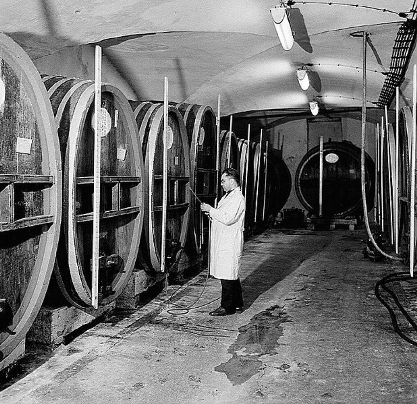 W 1948 roku zapasy moszczów się skończyły i produkcja wina...