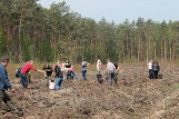 310,10 zł za zalesienie hektara gruntów rolnych