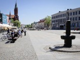 Rynek Kościuszki głogom nie służył. Źle zniosły zimę