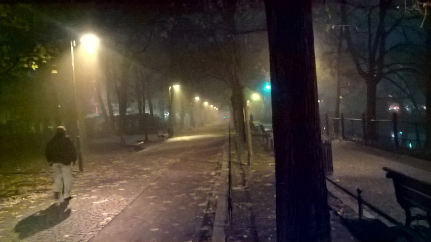  Gęsta mgła we Wrocławiu i okolicach