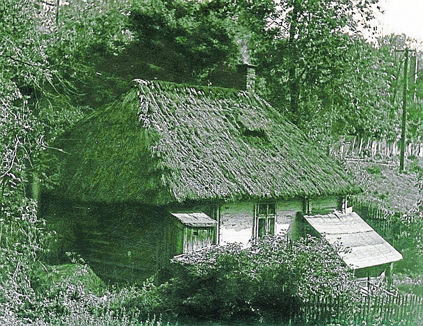 Chałupa nad Strugą Bronowicką na zdjęciu z lat 50. XX wieku