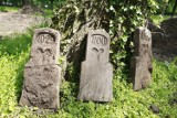 Pozostałości cmentarza na wybiegu dla psów w Opolu [wideo, zdjęcia]