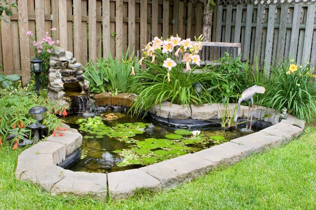 Decydując się na oczko wodne w ogrodzie, warto dobrać odpowiednie rośliny, ponieważ podnoszą one jego walory estetyczne.