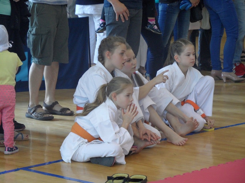 Bytom: Silesia Cup 2016 karate w Hali na Skarpie