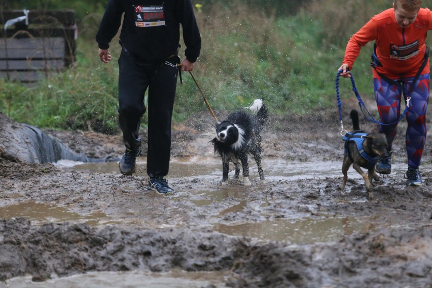 Dąbrowa Górnicza: Hard Dog Race, czyli ekstremalny bieg psów z właścicielami ZDJĘCIA+WIDEO