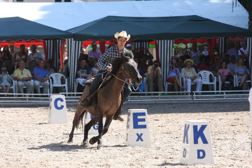 XIX Jeździeckie Mistrzostwa Gwiazd Lewada Art Cup w...