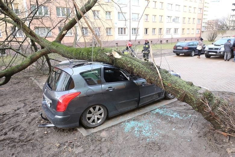 Pogoda: Silny wiatr. Ostrzeżenie IMGW dla ośmiu powiatów w...