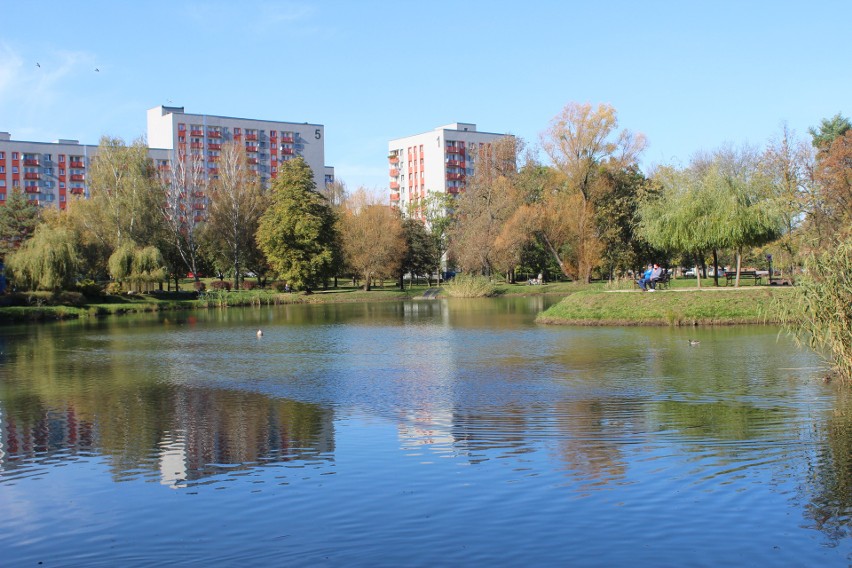 Park Kachla w Bytomiu zachwyca jesienną porą. W taką pogodę...