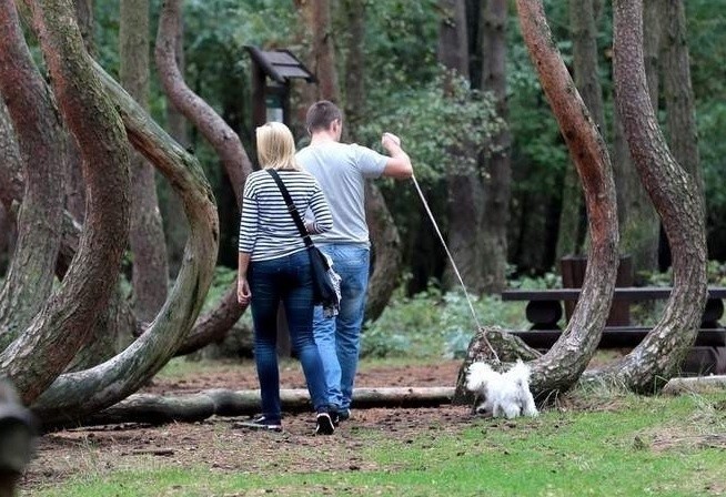 To będzie piękna i wiosenna sobota. Jak ją spędzić? [zdjęcia]