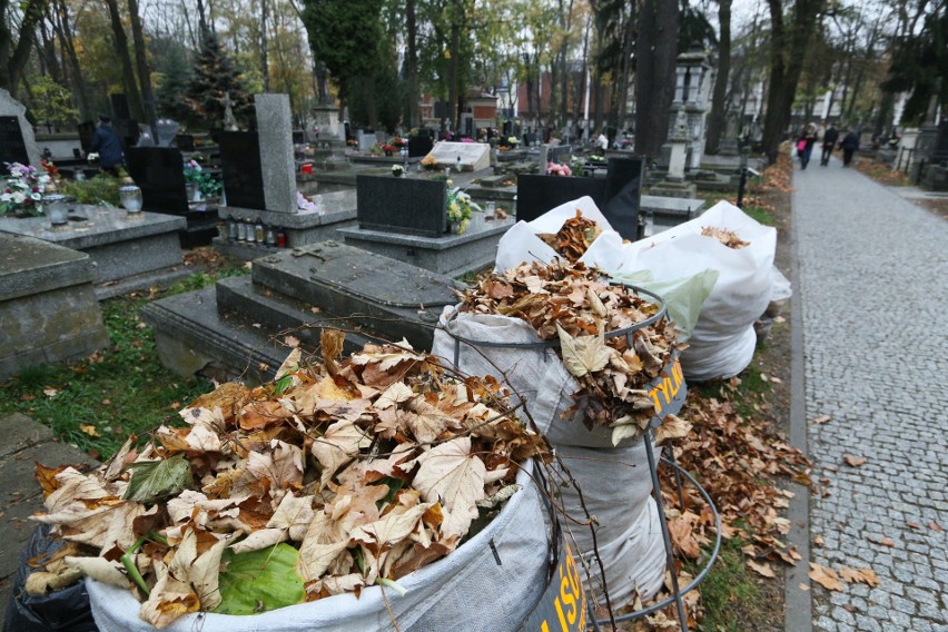 Dzień Wszystkich Świętych. Trwają porządki na lubelskich cmentarzach