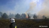 Pożar w Hucisku: Płoną trawy i nieużytki na granicy powiatów zawierciańskiego i myszkowskiego