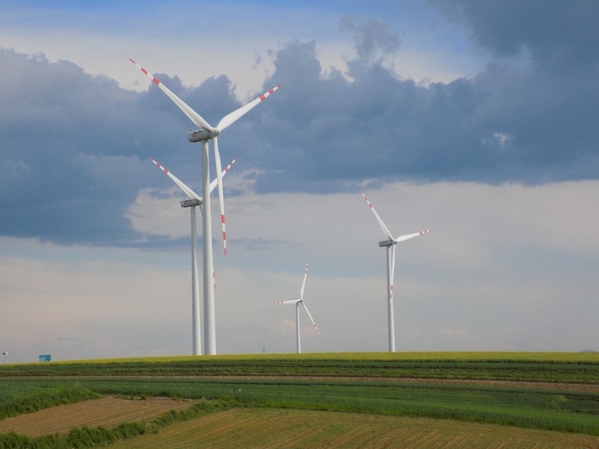 Energetyka wiatrowa będzie zyskiwała na znaczeniu.