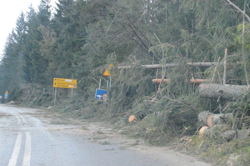 Trzeci dzień halnego. Setki drzew na drodze do Morskiego Oka [ZDJĘCIA]