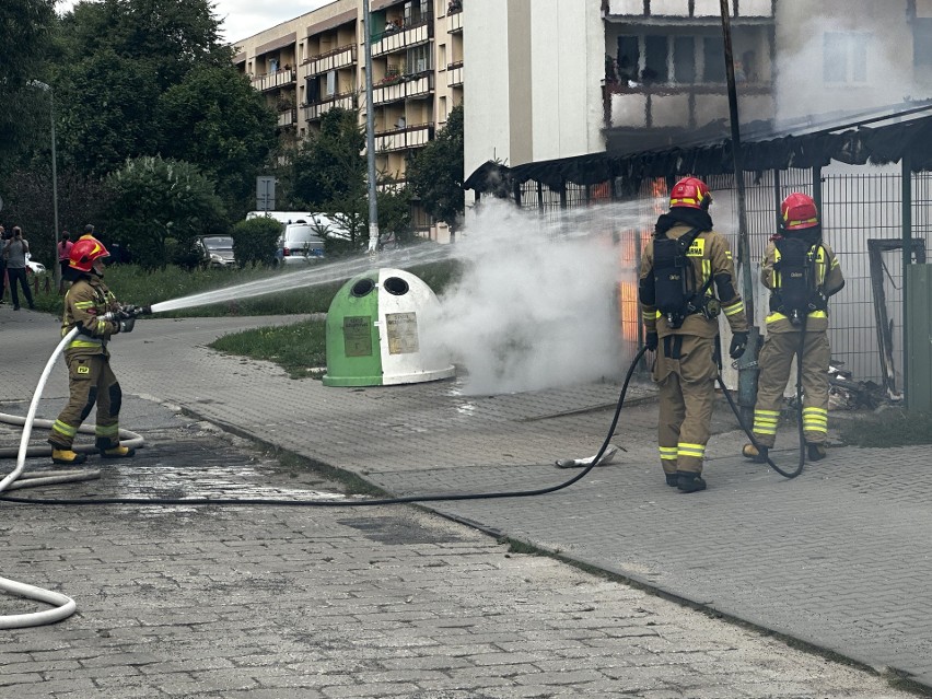 We wtorek na Prędocinku doszło do pożaru śmietnika i akcji...