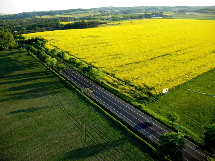 Jura Krakowsko-Częstochowska z lotu ptaka [ZDJĘCIA]