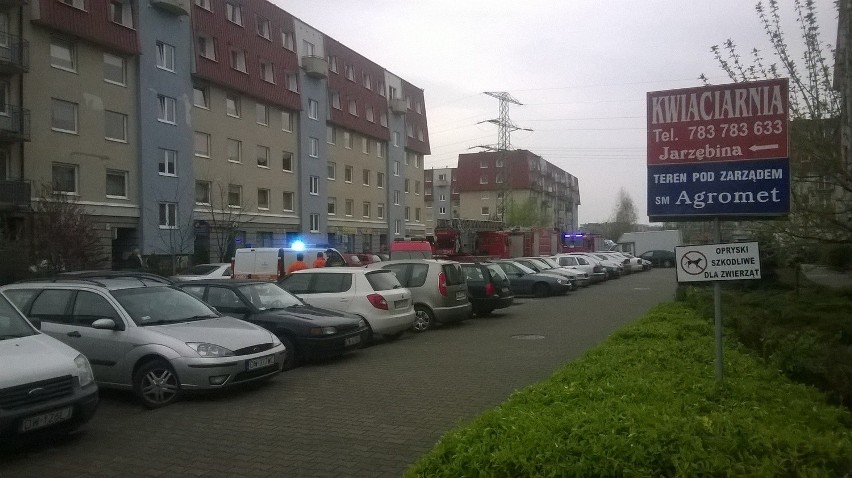 Wrocław: Cztery zastępy straży gasiły pożar... komputera (ZDJĘCIA)